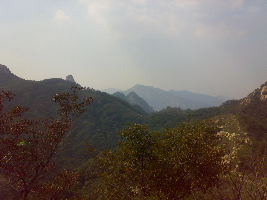 蒙山森林公园-蒙阴县必去景点