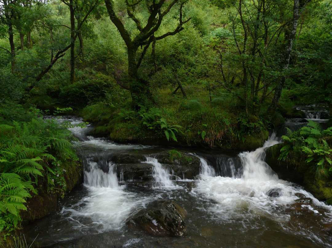 Leahurst Bed & Breakfast主图