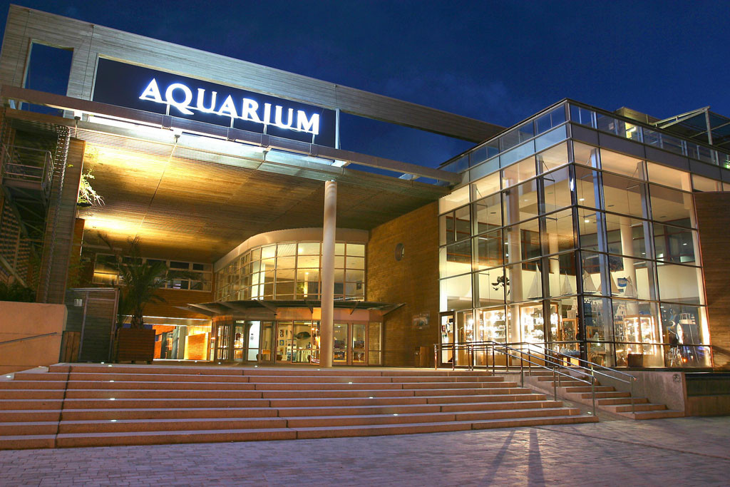 Aquarium La Rochelle景点图片