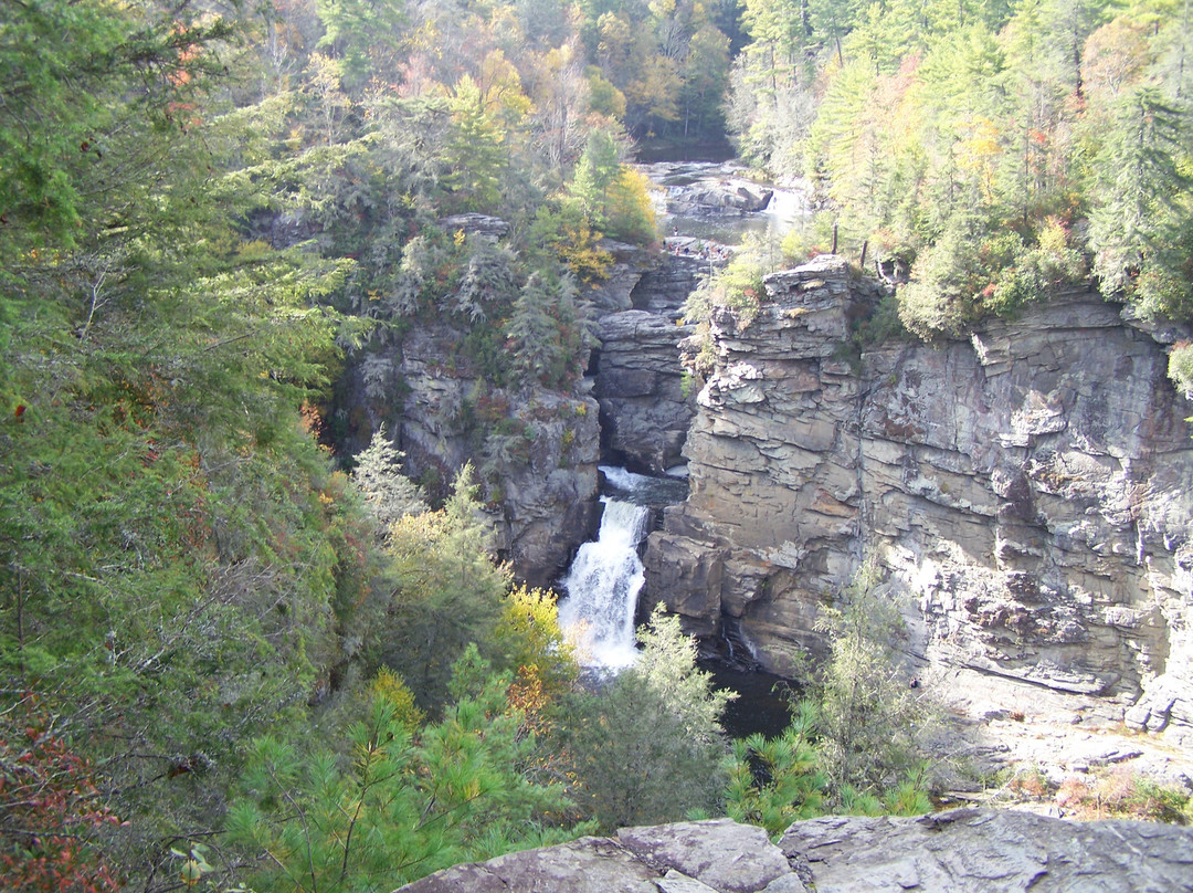 Spruce Pine旅游攻略图片