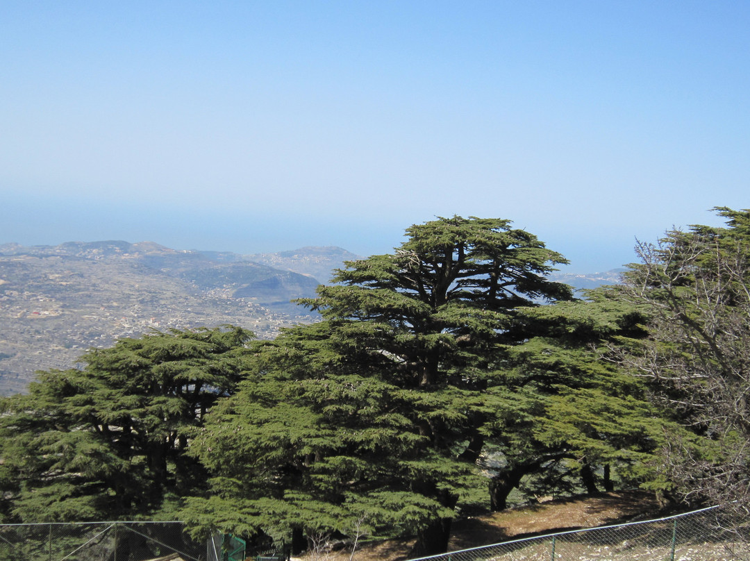 Shouf Cedars Reserve-Barouk必去景点