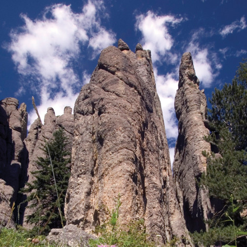 考斯德州立公园-卡斯特必去景点