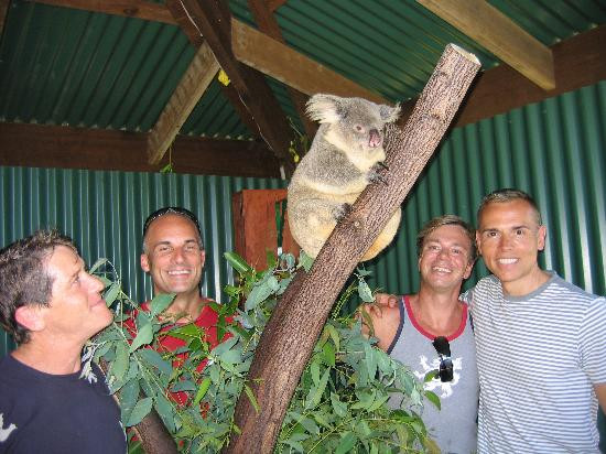 Wildlife Habitat Port Douglas-道格拉斯港必去景点