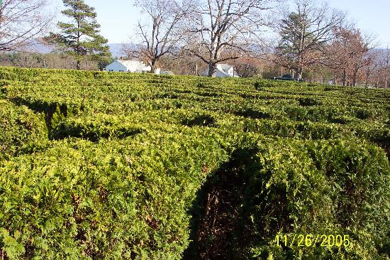 Luray Caverns-卢雷必去景点