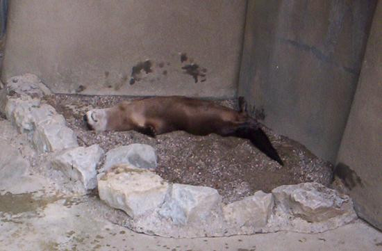 Louisville Zoo-路易斯维尔必去景点