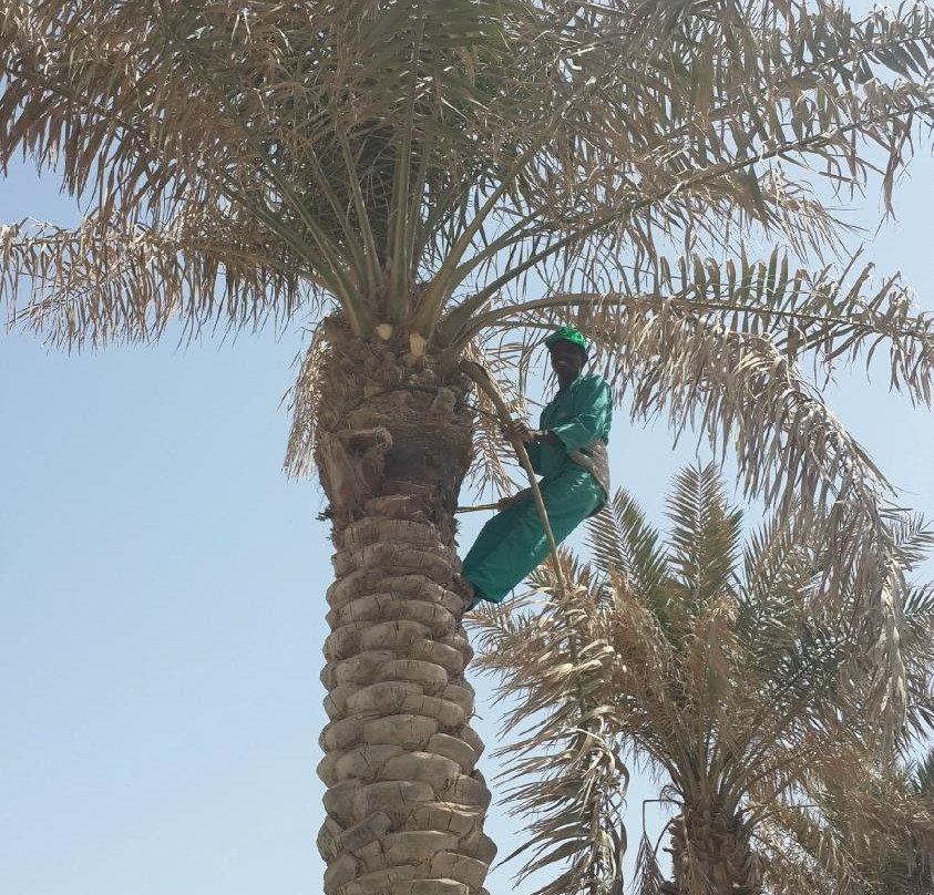 Princess Sabeeka Park-Awali必去景点