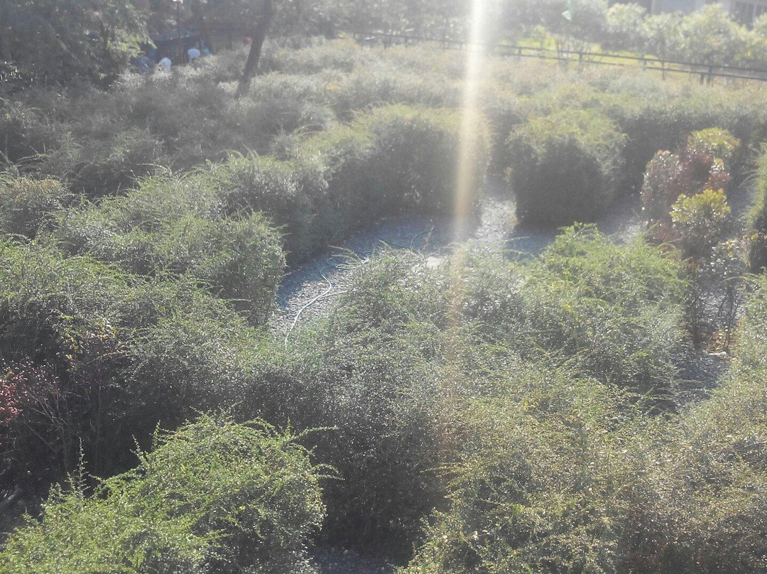 Pasig Rainforest Park-巴石必去景点