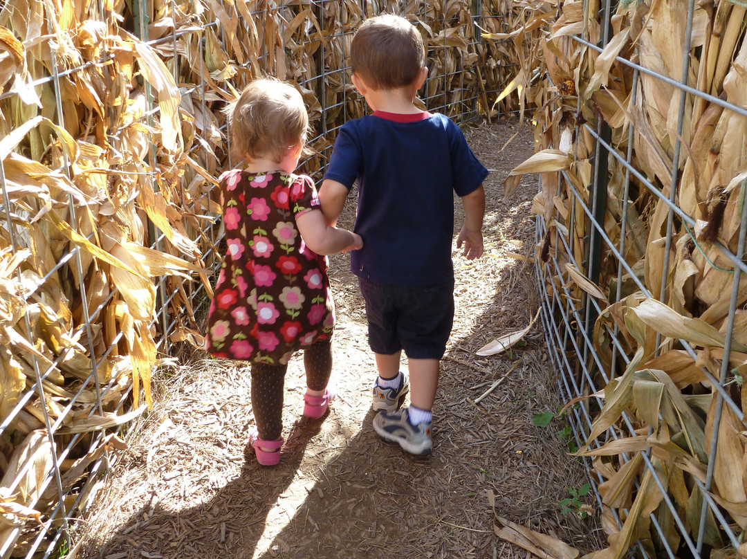Busy Barns Adventure Farm-Fort Atkinson必去景点