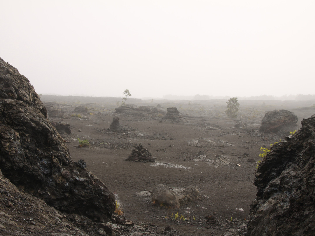 Pu'u Huluhulu trail-夏威夷火山国家公园必去景点