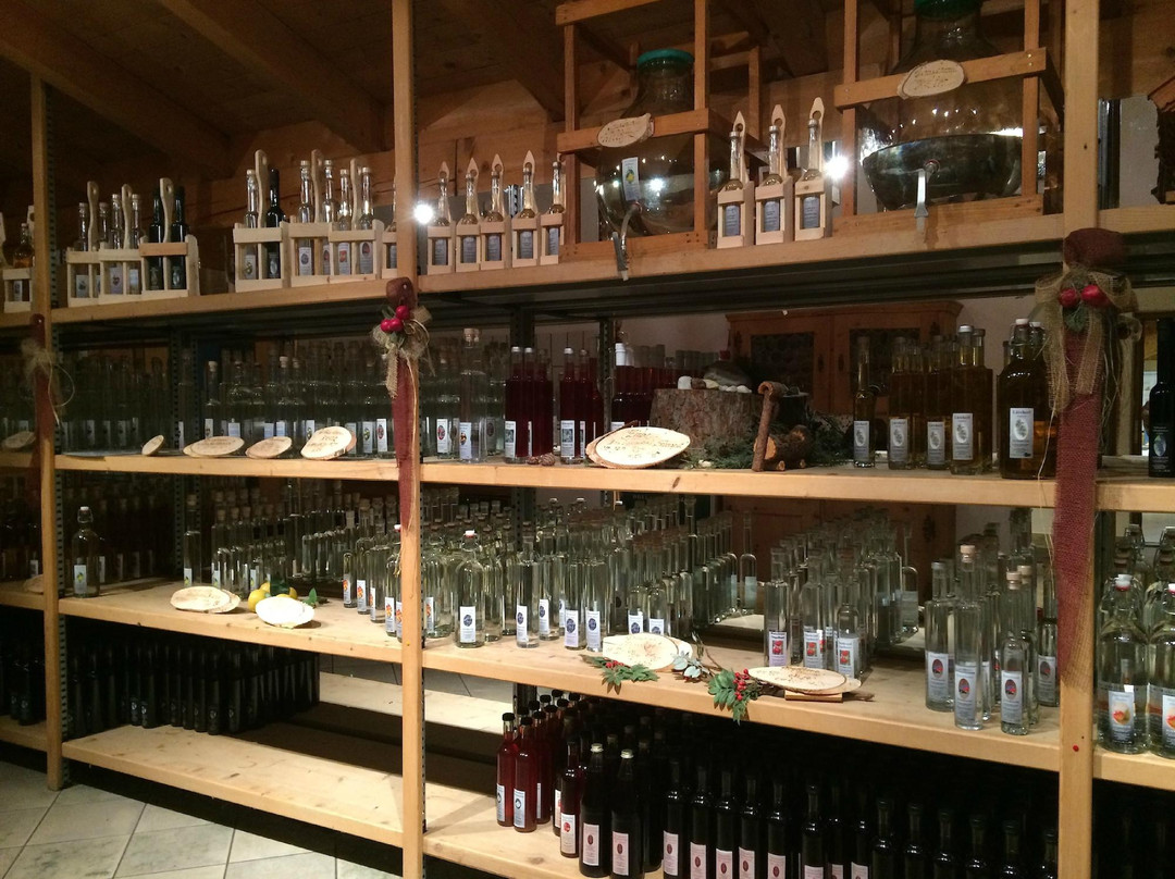 图费斯餐馆和美食-Tuxerbauer