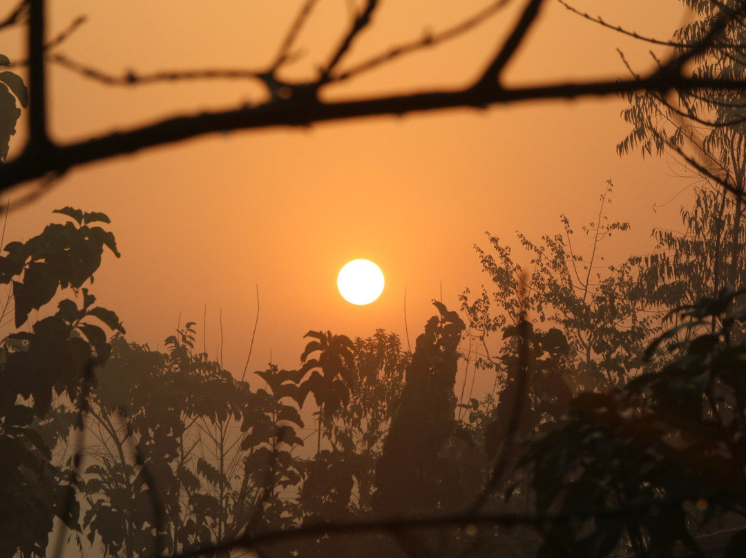 Teeka Resort Bardiya