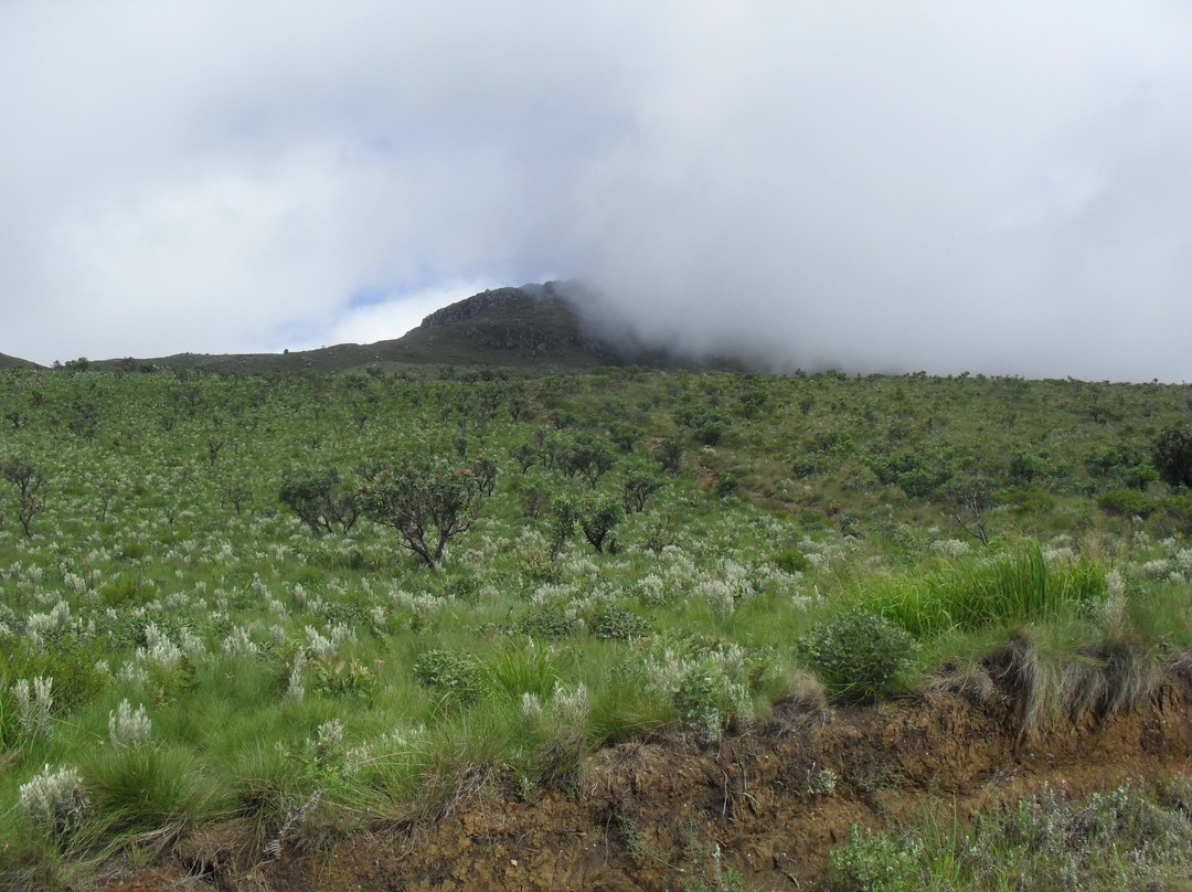 Mount Nyangani景点图片