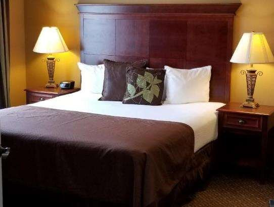 Saluda酒店住宿-The Lodge at Flat Rock