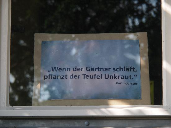 Karl Foerster Garten景点图片