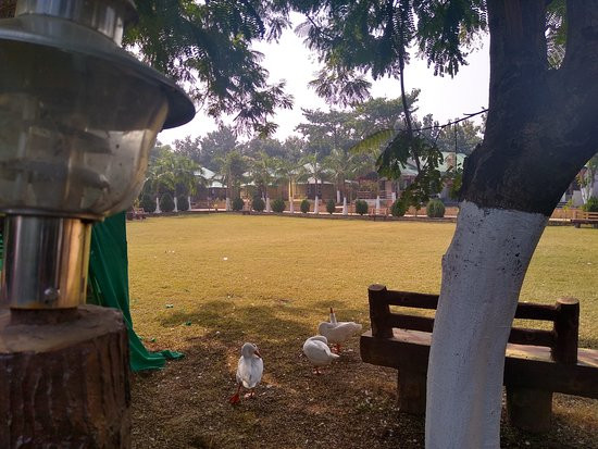 Vrindavan Gopala Resort主图