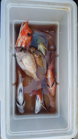 Adamas Fishing Charters-巴望头必去景点