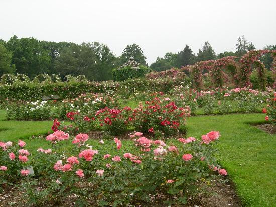 伊丽莎白公园-西哈特福德必去景点