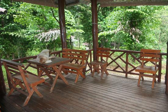Thai Elephant Conservation Center-南邦必去景点