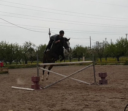 Club Hipico Es Pi-马洛卡帕尔马必去景点