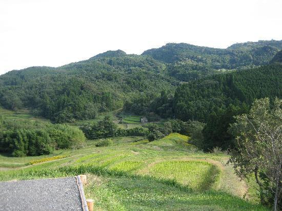 Oyama Rice Terraces-鸭川市必去景点