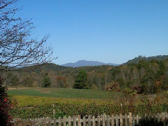 Crane Creek Vineyards-Young Harris必去景点