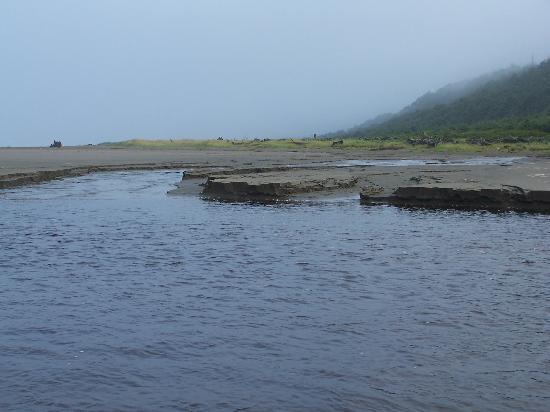 Moclips River景点图片
