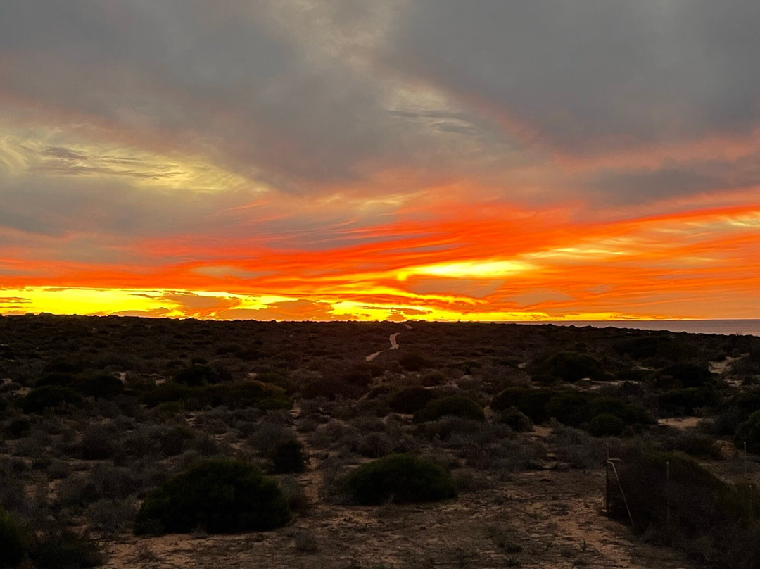 On the Deck at Shark Bay主图