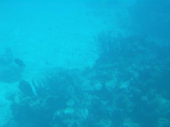 Discover Mexico Park Cozumel-考祖梅必去景点