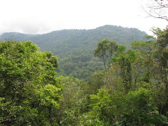 Tacugama Chimpanzee Sanctuary-弗里敦必去景点