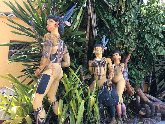 Museu Indigena Da Aldeia Pataxo景点图片