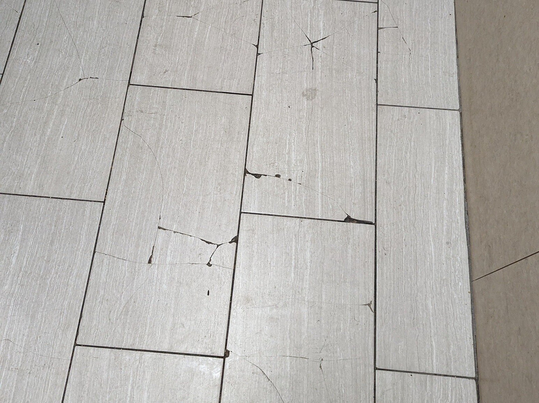 Super 8 by Wyndham Madison/Ridgeland Area主图