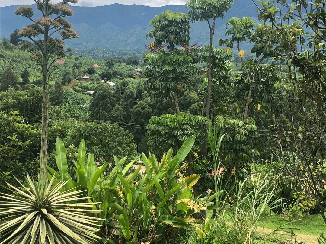 Rujuna Hilltop Guest House