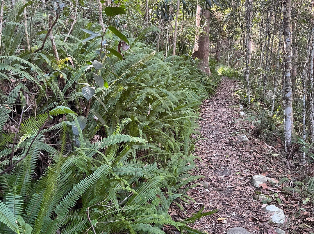 D’Aguilar National Park景点图片