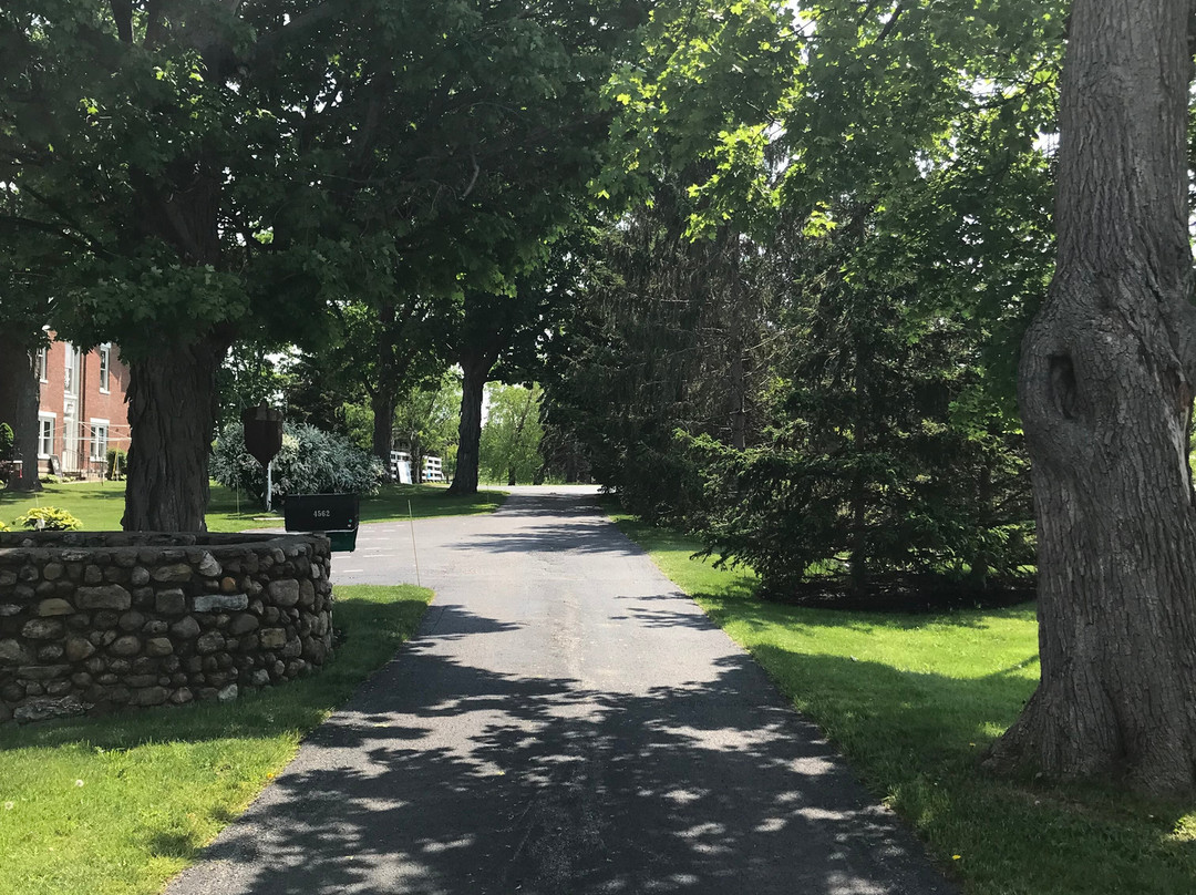 OAK VALLEY INN & SUITES主图