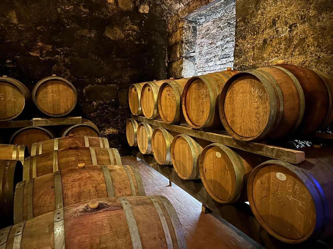 Castello Rametz - Wine Museum景点图片