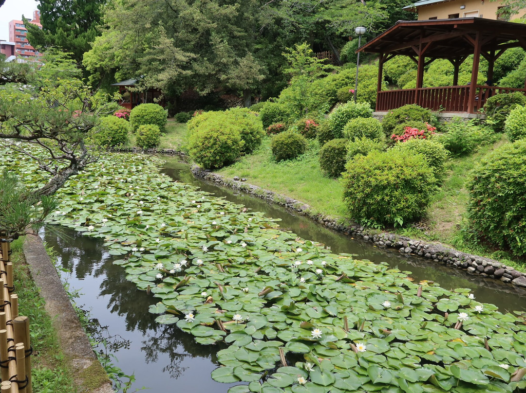 Dogo Park (Ruins of Yuzuki Castle)-松山市必去景点