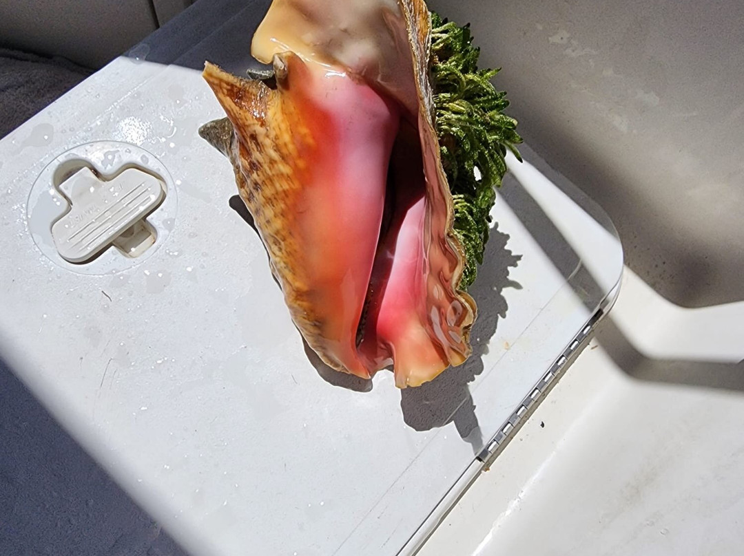 Turkoise wave adventure-格雷斯湾必去景点