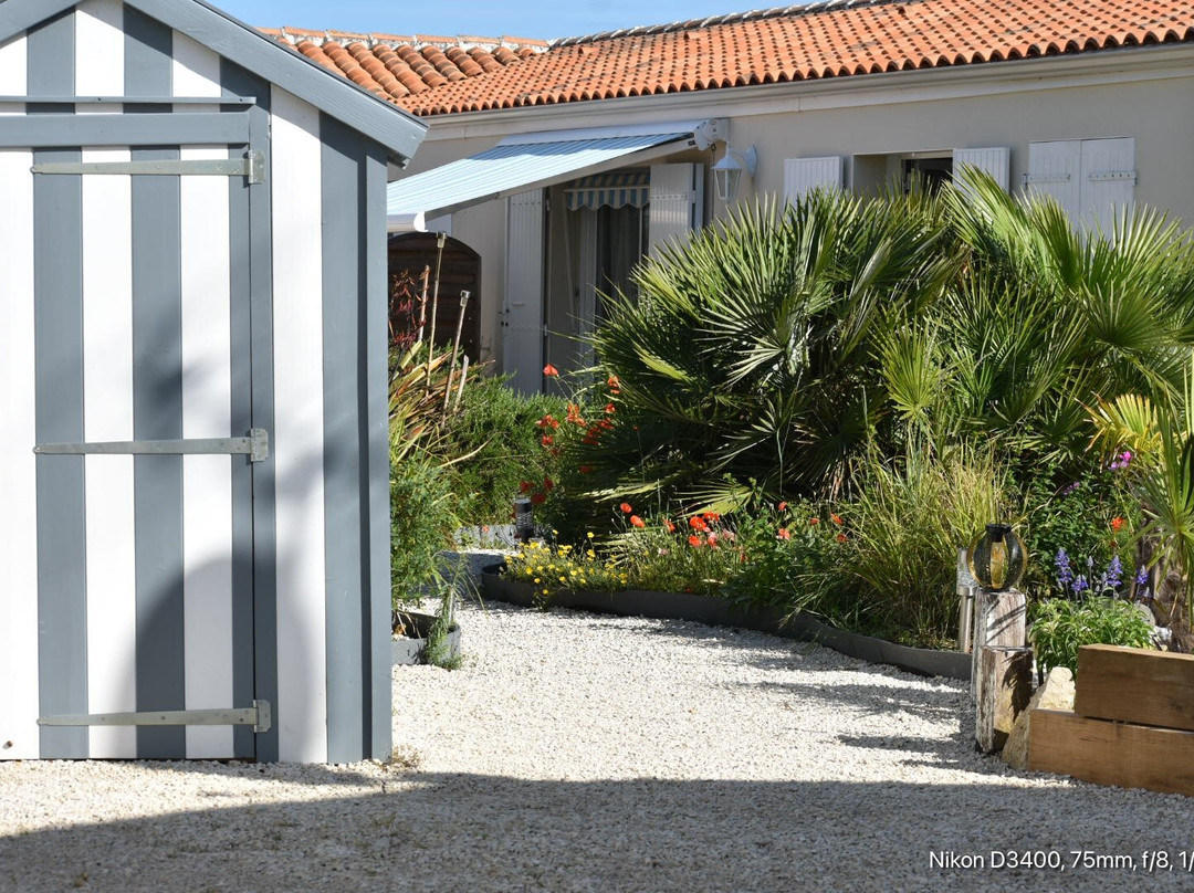 Les Lits Marins主图