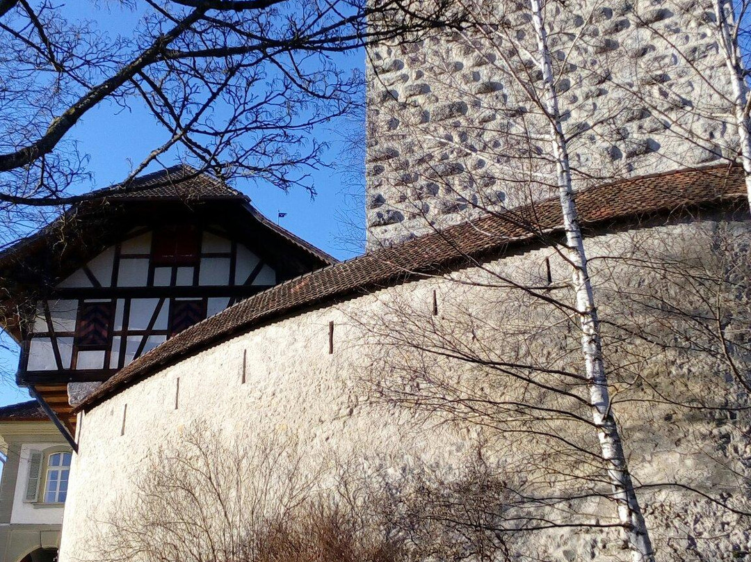 Trachselwald Castle-阿福尔特恩必去景点