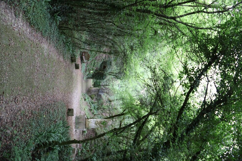 La Pierre de Crazannes景点图片