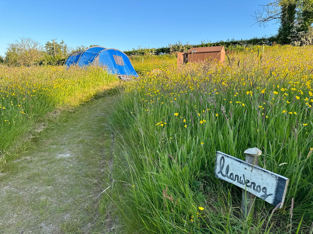 Frowen Fields Eco Glamping & Camping