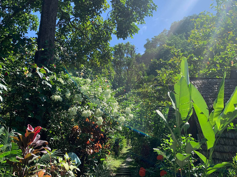 Pondok Wisata Guesthouse主图