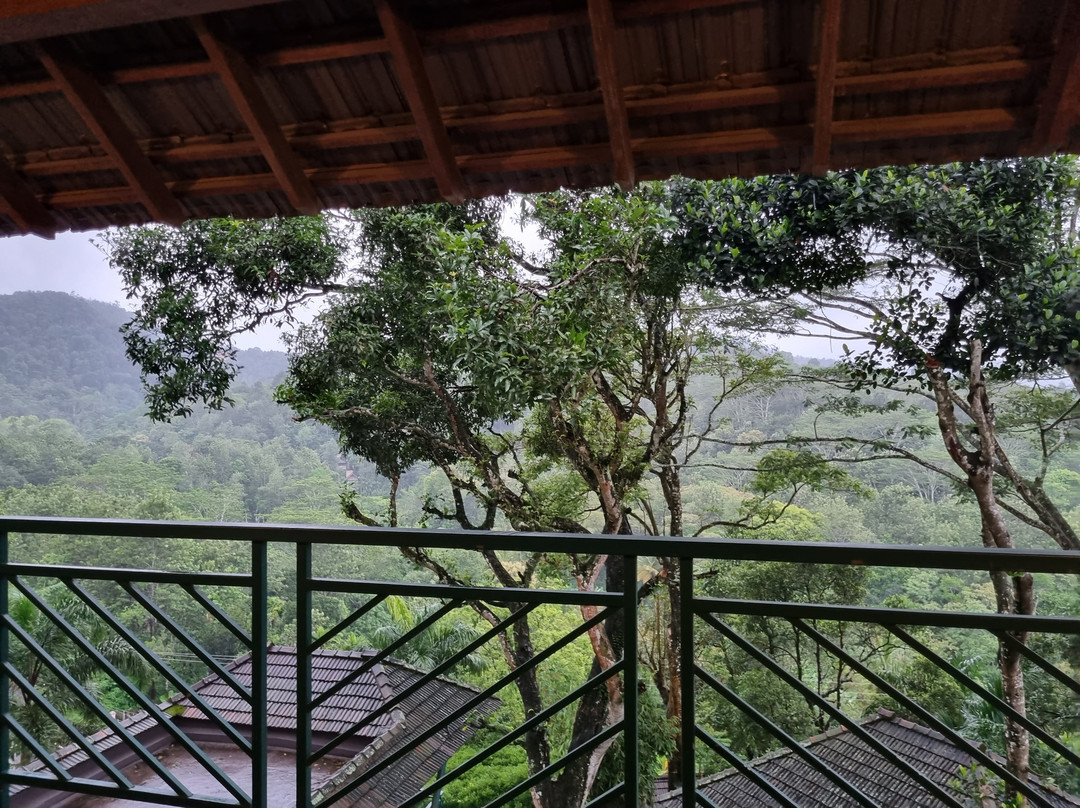 Forest Canopy Thekkady主图