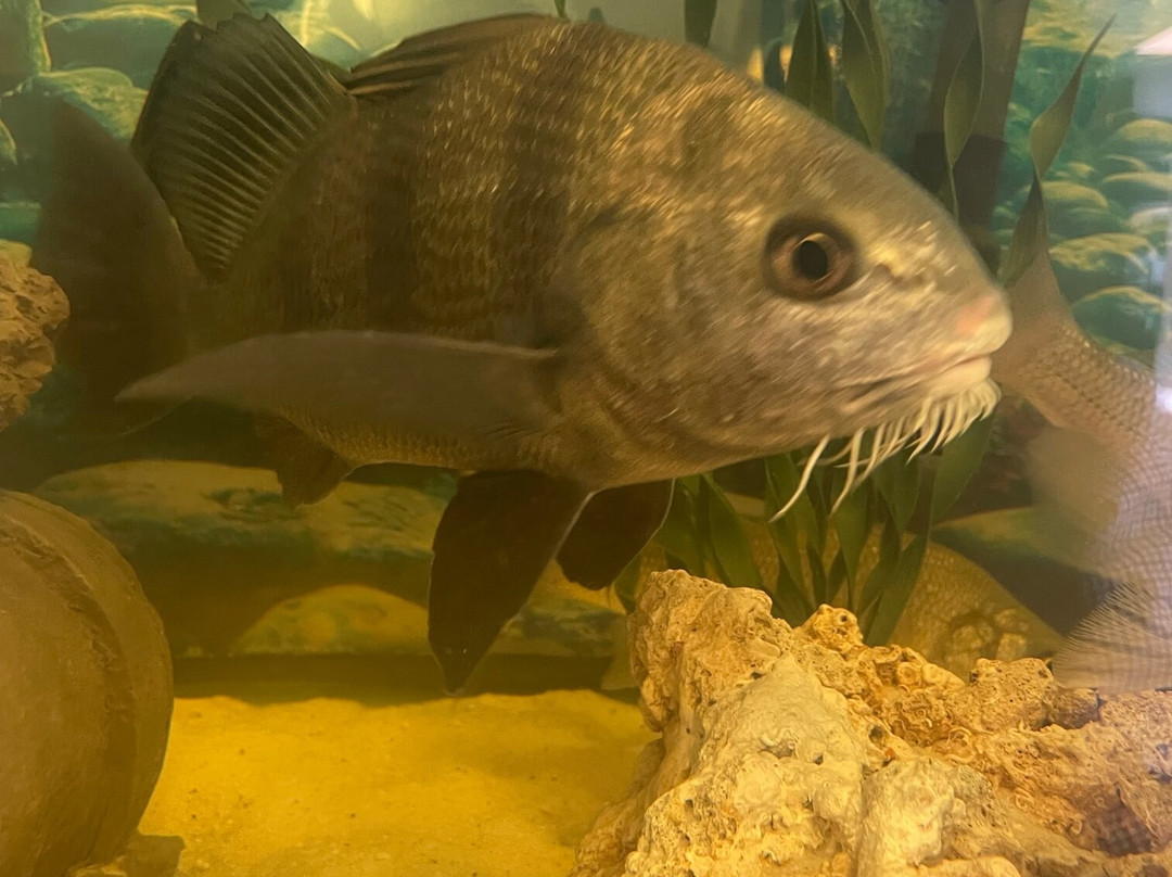 DuPont Nature Center-Milford必去景点