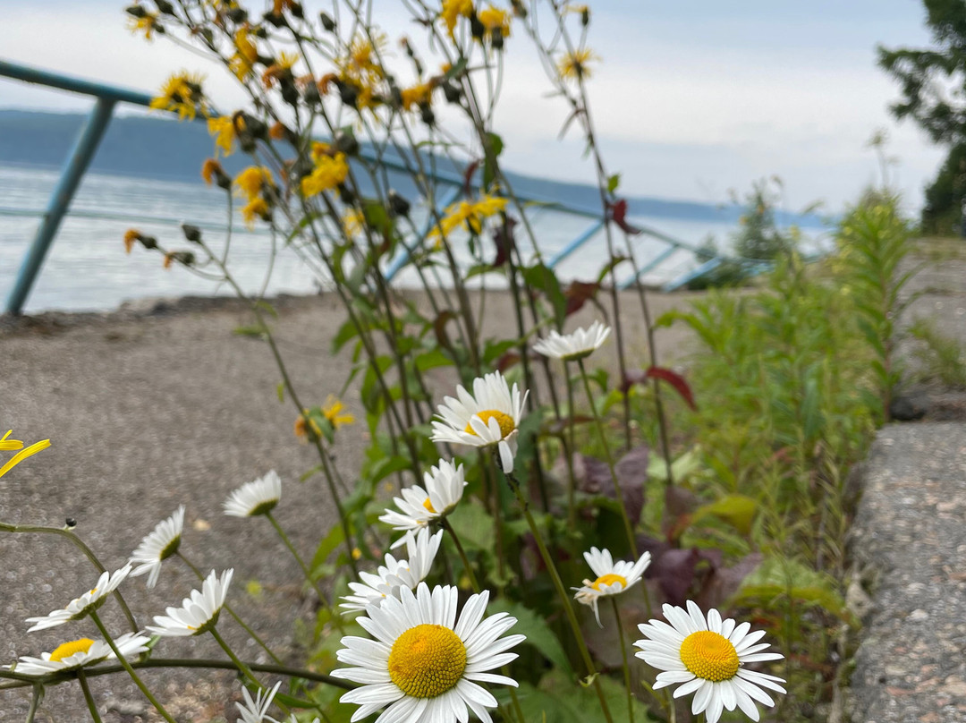 Elektra Sanatorium主图