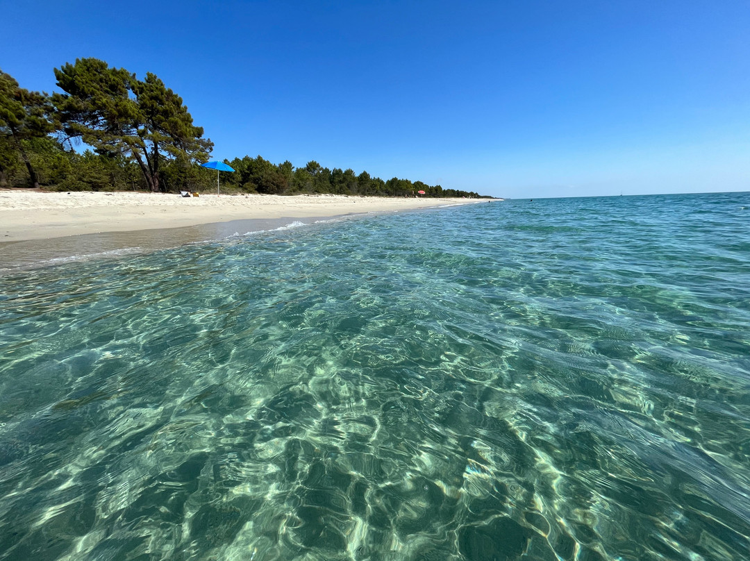 Plage de Pinia景点图片