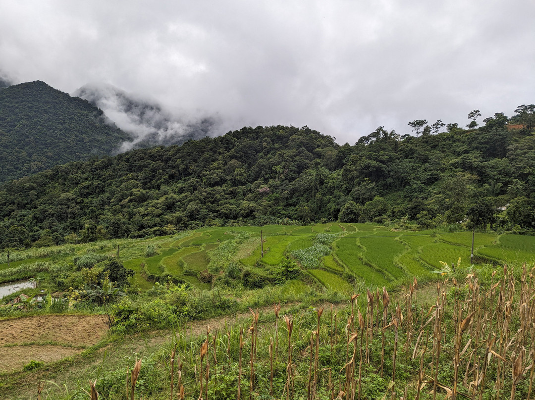 Pu Luong Free Tour Guides景点图片