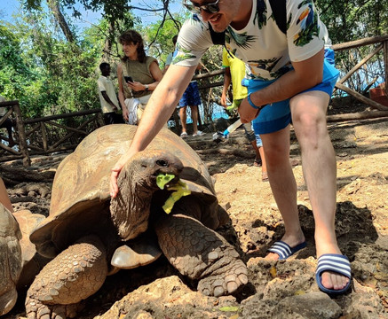 Bohora Tours-桑给巴尔岛必去景点