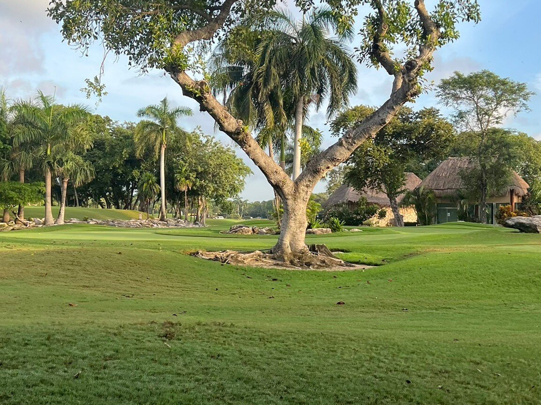Hard Rock Golf Club Riviera Maya景点图片
