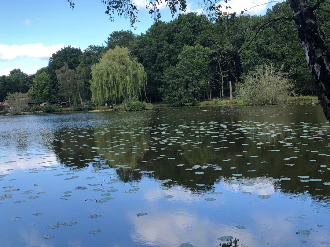 Jake's @ Tri-Lakes景点图片